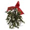 Hanging Mistletoe Artificial Flower Stems Holiday Decor Dark Green 9.5 in x 6 in Spot Clean Christmas Decoration